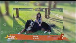 La domanda della piccola Emma: "Perché il mio cane ulula?"